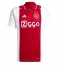 Ajax Brian Brobbey #9 Heimtrikot 2024-25 Kurzarm