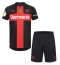 Bayer Leverkusen Alejandro Grimaldo #20 Heimtrikot Kinder 2023-24 Kurzarm (+ kurze hosen)