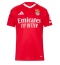 Benfica Heimtrikot 2024-25 Kurzarm