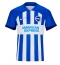 Brighton Heimtrikot 2023-24 Kurzarm