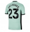 Chelsea Conor Gallagher #23 3rd trikot 2023-24 Kurzarm