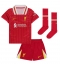 Liverpool Darwin Nunez #9 Heimtrikot Kinder 2024-25 Kurzarm (+ kurze hosen)