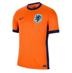 Niederlande Heimtrikot EM 2024 Kurzarm