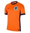 Niederlande Heimtrikot EM 2024 Kurzarm